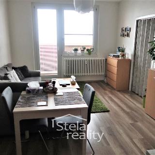 Pronájem bytu 2+kk 35 m² Bruntál, Uhlířská