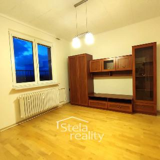 Pronájem bytu 1+1 25 m², Pionýrská