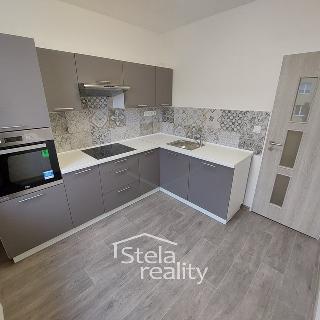 Pronájem bytu 2+1 52 m² Horní Benešov, Svobody