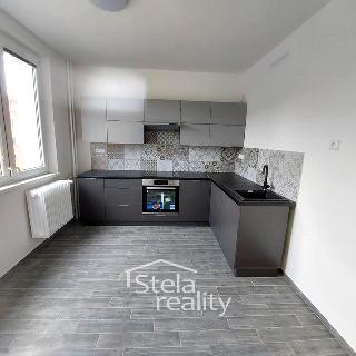 Pronájem bytu 2+1 55 m² Dětřichov nad Bystřicí, 