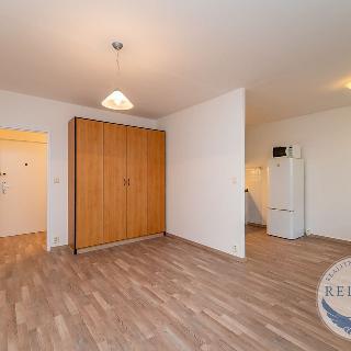 Pronájem bytu 1+kk a garsoniéry 36 m² Praha, Horáčkova