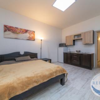 Pronájem bytu 1+kk a garsoniéry 31 m² Praha Žižkov, Baranova