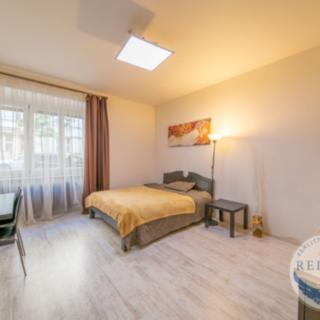 Pronájem bytu 1+kk, garsoniery 31 m² Praha