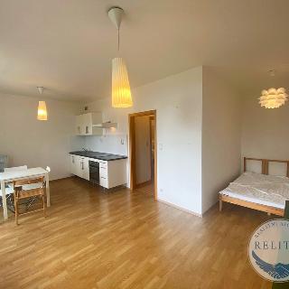 Pronájem bytu 1+kk a garsoniéry 37 m² Praha, Laurinova