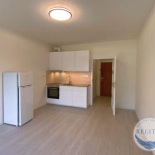 Pronájem bytu 1+kk a garsoniéry 26 m² Praha, Přípotoční