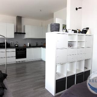 Prodej bytu 1+kk a garsoniéry 44 m² Beroun, Na Veselou