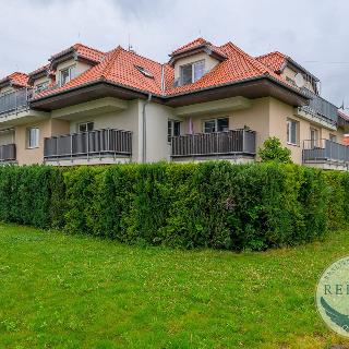 Prodej bytu 3+kk 110 m² Holubice, Kaštanová