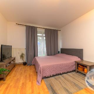 Pronájem bytu 1+kk a garsoniéry 26 m² Praha, Přípotoční