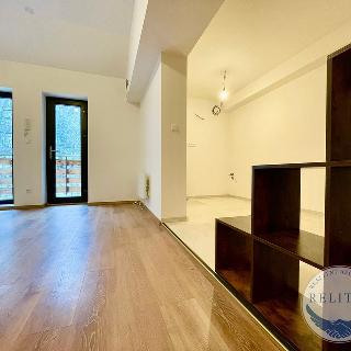 Prodej bytu 1+kk a garsoniéry 38 m² Líšnice, Spálený Mlýn