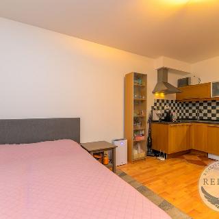 Pronájem bytu 1+kk a garsoniéry 26 m² Praha, Přípotoční