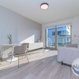 Pronájem bytu 2+kk 65 m² Praha, Malešická