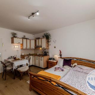 Prodej bytu 1+kk a garsoniéry 28 m² Praha, Mattioliho