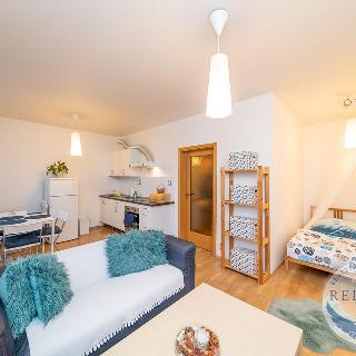 Pronájem bytu 1+kk a garsoniéry 43 m² Praha, Svitákova