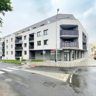 Pronájem bytu 2+kk 50 m² Lovosice, Zámecká