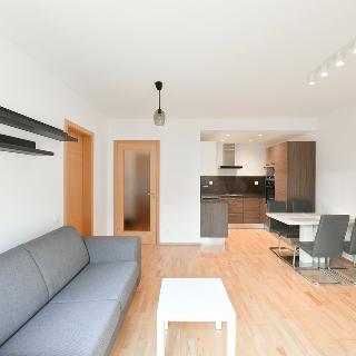 Pronájem bytu 2+kk 45 m² Praha, Olgy Havlové