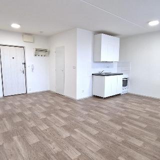 Prodej bytu 1+kk a garsoniéry 35 m² Litoměřice, Revoluční