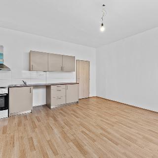 Pronájem bytu 1+kk a garsoniéry 32 m² Terezín, Fučíkova