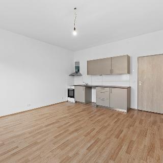 Pronájem bytu 1+kk a garsoniéry 32 m² Terezín, Fučíkova