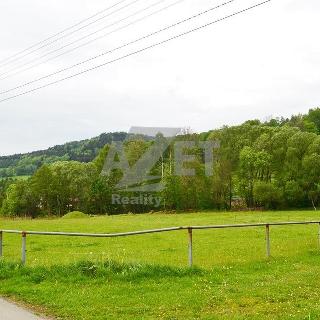 Prodej stavební parcely 1165 m² Loučná nad Desnou