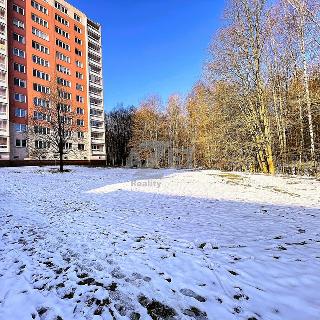 Prodej bytu 1+kk a garsoniéry 31 m² Havířov, Šípková