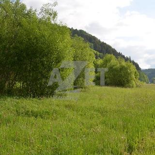 Prodej stavební parcely 4500 m² Hanušovice