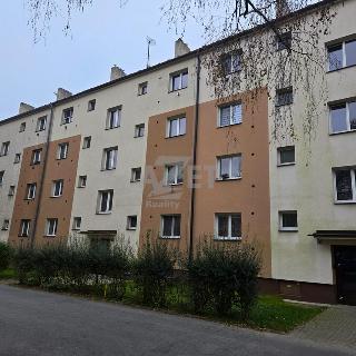 Prodej bytu 2+1 53 m² Ostrava, Gurťjevova