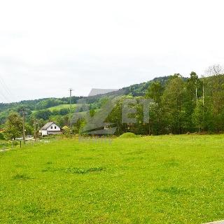 Prodej stavební parcely 4 662 m² Loučná nad Desnou