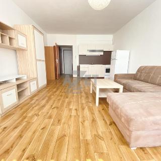 Pronájem bytu 1+kk a garsoniéry 32 m² Orlová, Adamusova