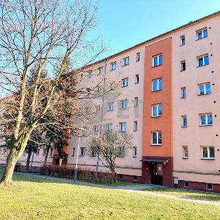 Prodej bytu 3+1 61 m² Ostrava, Mitušova