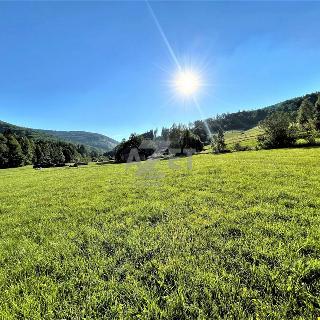 Prodej stavební parcely 2 726 m² Košařiska