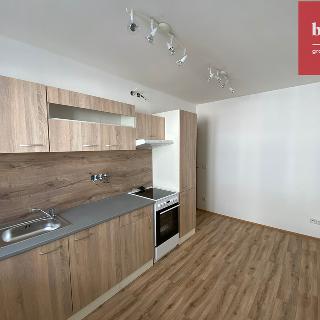 Pronájem bytu 2+1 75 m² Opava, U Pošty