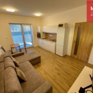 Pronájem bytu 1+kk, garsoniery 29 m² Opava