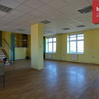 Pronájem kanceláře 123 456 m² Opava, 