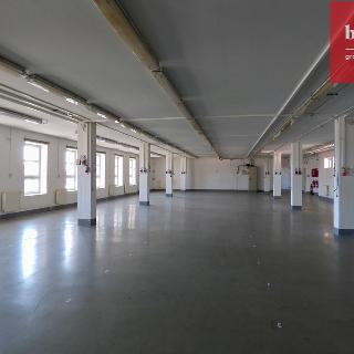 Pronájem výrobního objektu 123 456 m² Opava, 