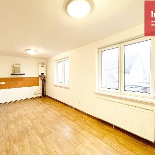 Prodej bytu 3+1 90 m² Horní Benešov, Nová