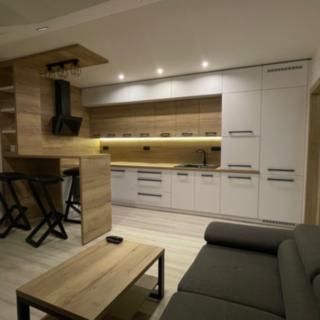 Pronájem bytu 2+kk 55 m² Opava