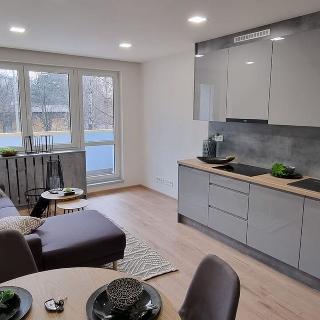 Pronájem bytu 3+kk 60 m² Ostrava, Staňkova