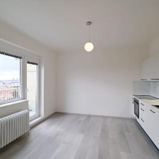 Pronájem bytu 1+1 82 m² Praha, Soběslavská