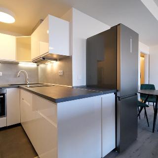 Pronájem bytu 1+kk a garsoniéry 48 m² Praha, Chotěšovská