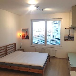 Pronájem bytu 1+kk a garsoniéry 30 m² Praha, Hlučkova