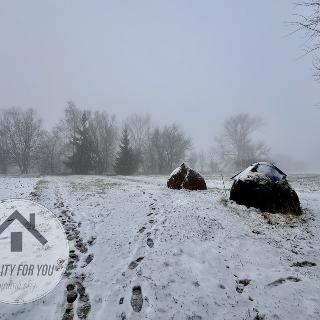 Prodej zahrady 2 868 m² Podlešín