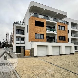 Prodej bytu 1+kk a garsoniéry 48 m² Říčany, Verdunská