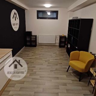 Pronájem bytu 1+kk a garsoniéry 27 m² Benátky nad Jizerou, Václava Černého