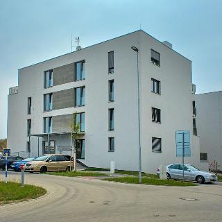 Pronájem bytu 1+kk a garsoniéry 30 m² Plzeň, Rubínová