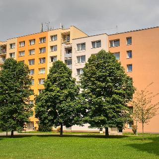 Prodej bytu 3+1 77 m² Písek, Smrkovická