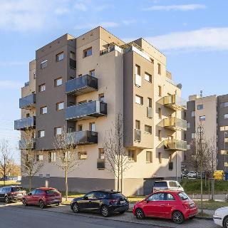 Prodej bytu 2+kk 74 m² Plzeň, U Velkého rybníka