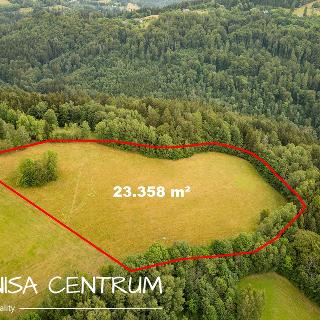 Prodej louky 23358 m² Víchová nad Jizerou