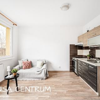 Pronájem bytu 1+1 47 m² Česká Lípa, Větrná