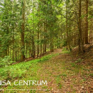 Prodej louky 1867 m² Víchová nad Jizerou