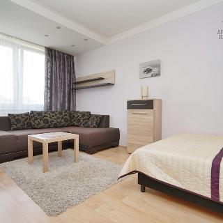 Pronájem bytu 1+1 29 m² Praha, Krynická